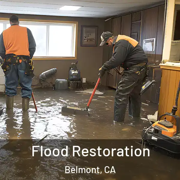  Flood Restoration Belmont, CA