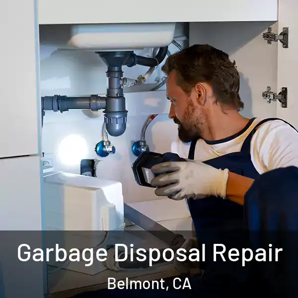  Garbage Disposal Repair Belmont, CA