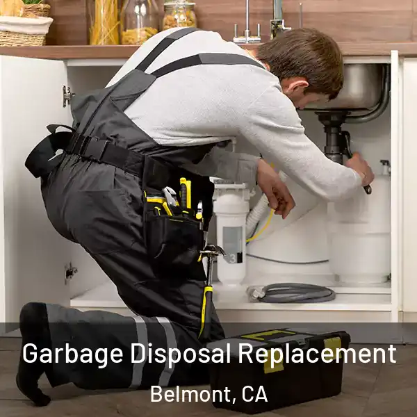  Garbage Disposal Replacement Belmont, CA