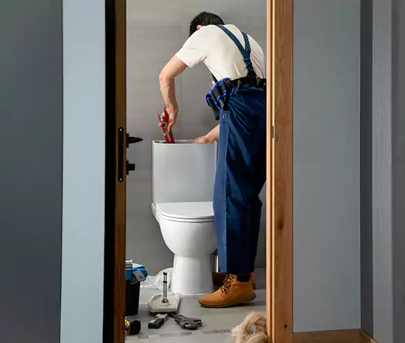 Professional Plumbers for Toilet Bowl Replacement in Belmont, CA: Schedule Affordable Toilet Replacement Services With Us