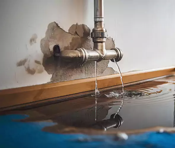 Professional Water Damage Restoration Experts in Belmont, CA — Fast, Reliable & Certified
