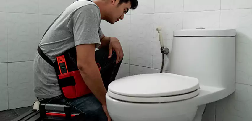 Toilet Repair in Belmont