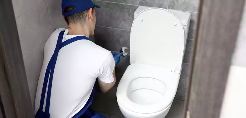 Toilet Lid Replacement in Belmont