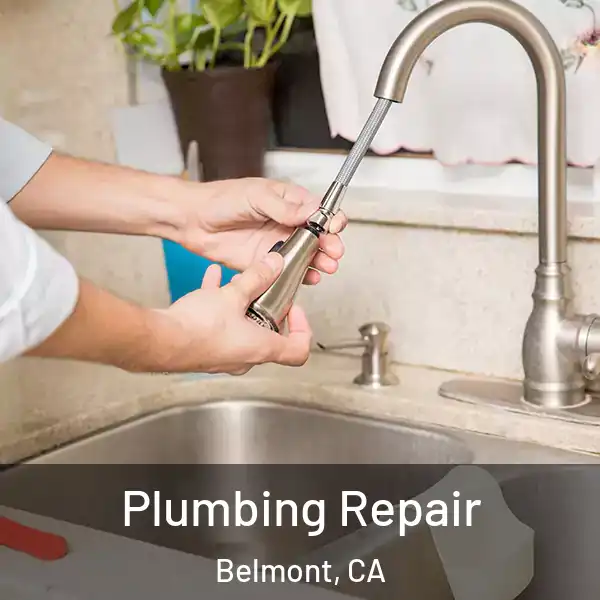  Plumbing Repair Belmont, CA