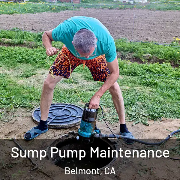  Sump Pump Maintenance Belmont, CA