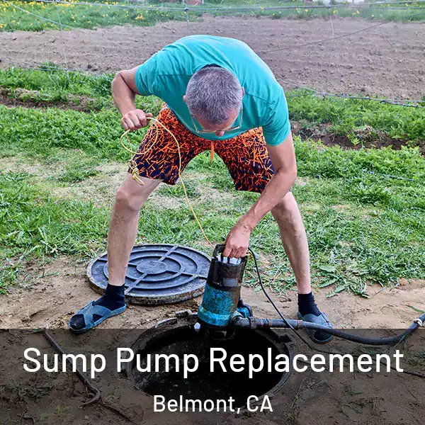  Sump Pump Replacement Belmont, CA