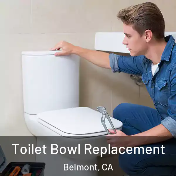  Toilet Bowl Replacement Belmont, CA