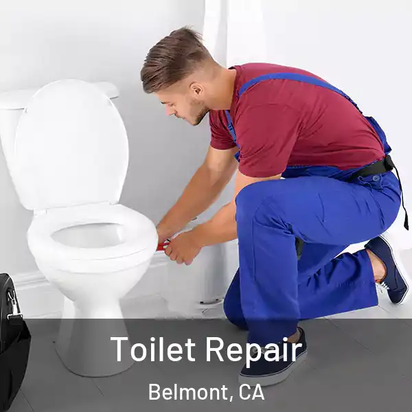  Toilet Repair Belmont, CA