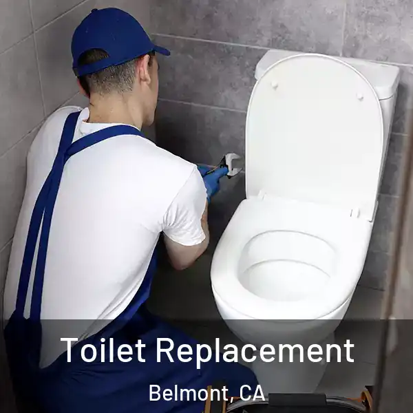  Toilet Replacement Belmont, CA