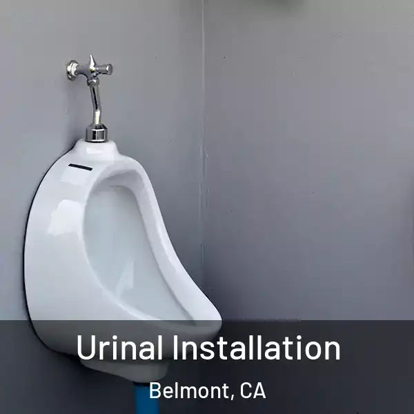  Urinal Installation Belmont, CA