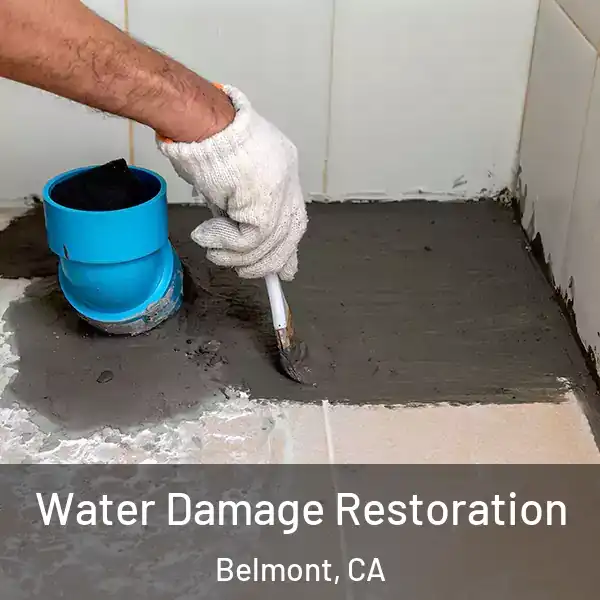 Water Damage Restoration Belmont, CA
