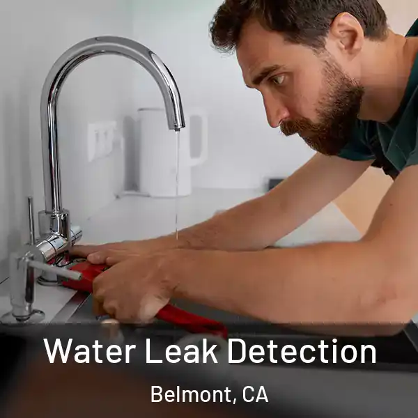  Water Leak Detection Belmont, CA