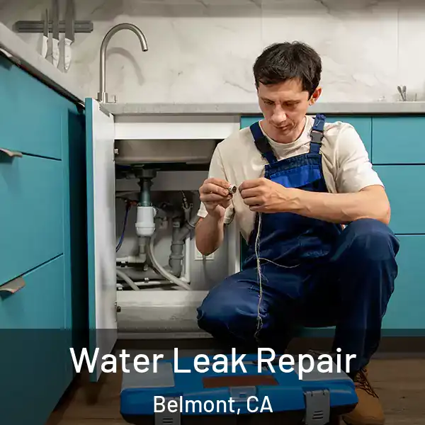  Water Leak Repair Belmont, CA