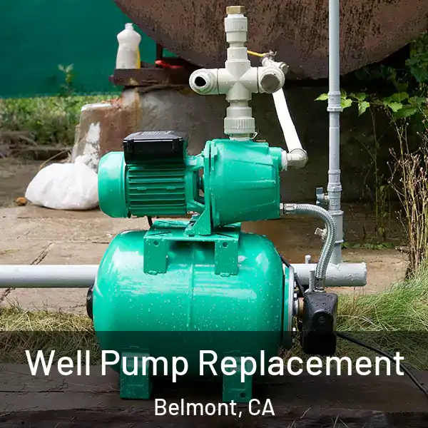  Well Pump Replacement Belmont, CA